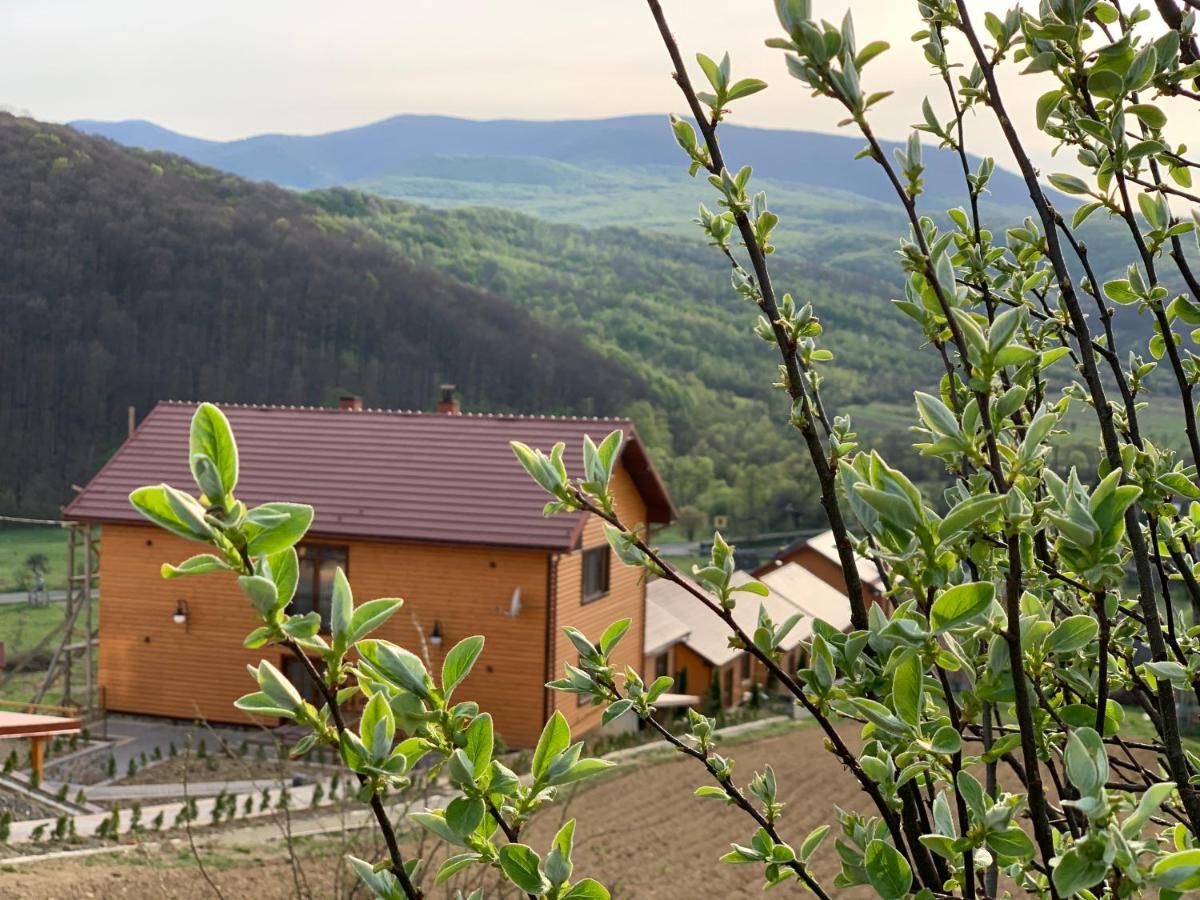 Апартаменты Solnce Karpat Polyana  Exterior photo